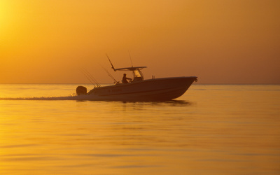 Fishing Raptor 320 СС