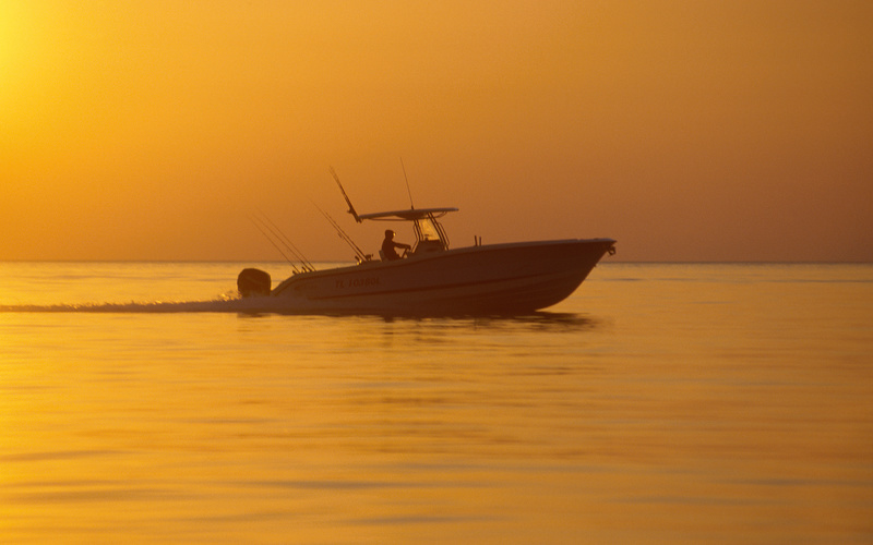 Fishing Raptor 320 СС