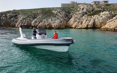 Salpa Soleil 26