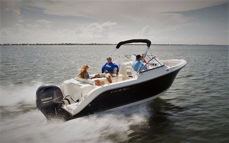 Cobia 220 DC