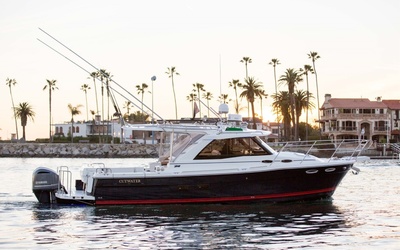 Cutwater C-302 Sport Coupe