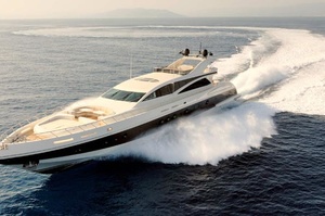 ARNO Leopard 43