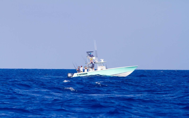 Contender 39ST