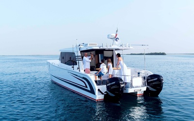 SilverCat 40LUX
