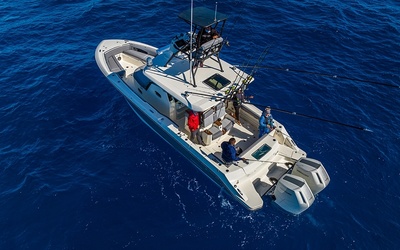 Boston Whaler 360 Outrage