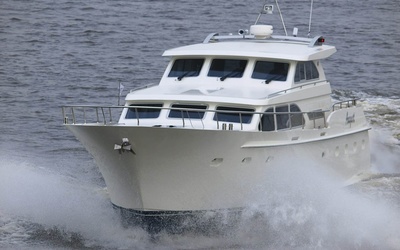 Van Der Heijden Dynamic Deluxe 1700