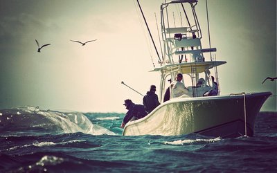Yellowfin 36 Offshore