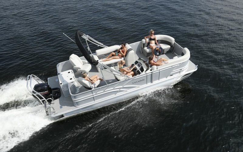 Sylvan Mirage Fish 8522