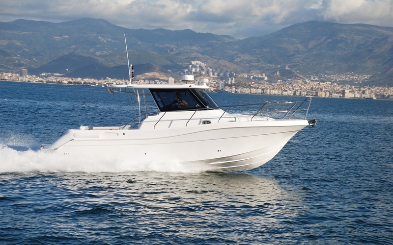Mercan Bonito 32 IB