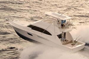 Bertram 511