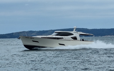 Monachus Issa 45