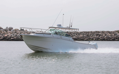 Sedna  XF 320