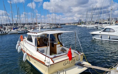 Barbaros 30 Lobster