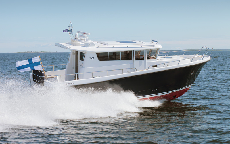Sargo 36