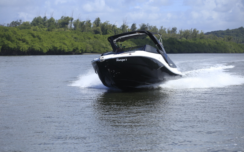 NX 250