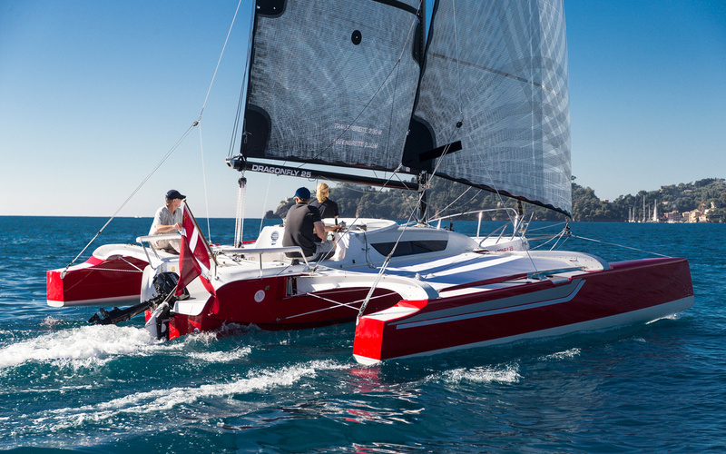 Dragonfly 25