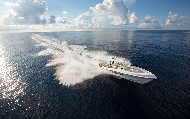 Dusky 33 XF