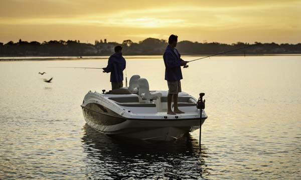 Bayliner 210 Deck Boat