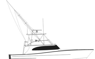 Release 55
