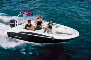 Bayliner Element