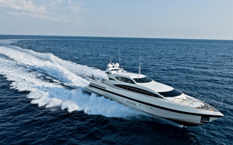 Mangusta Mangusta 105