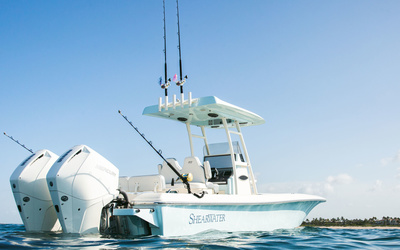 ShearWater 270 SS Open Carolina