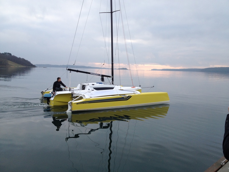 Dragonfly 25