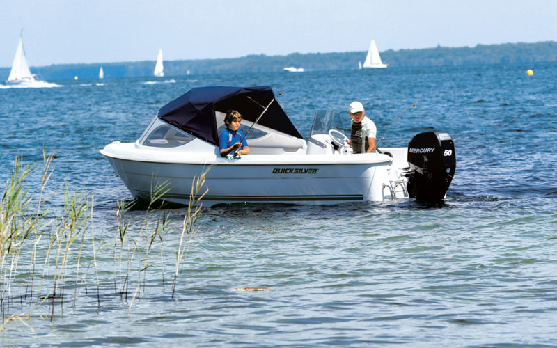 Quicksilver Fish 500