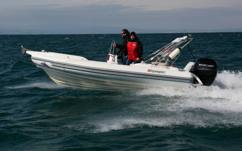 Olympic 5.90 Speedster