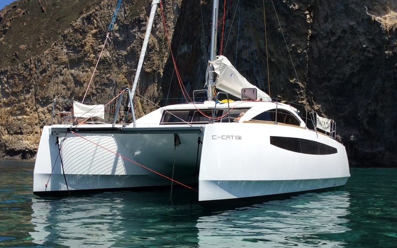 C-Cat 37