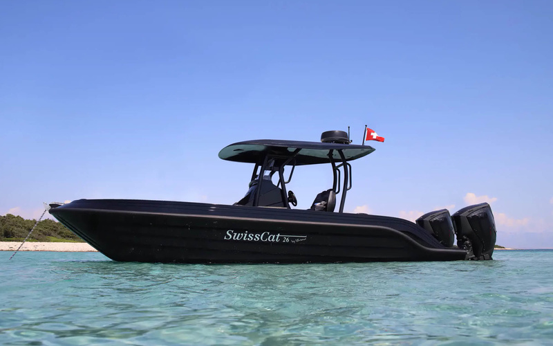 SwissCat 26