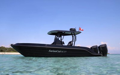 SwissCat 26