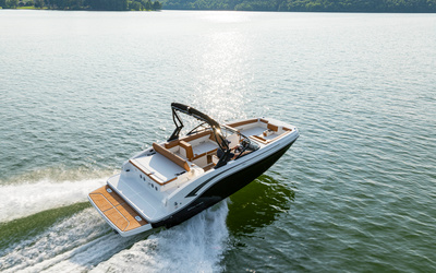 Bayliner DX2050