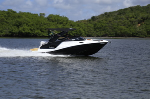 NX 250