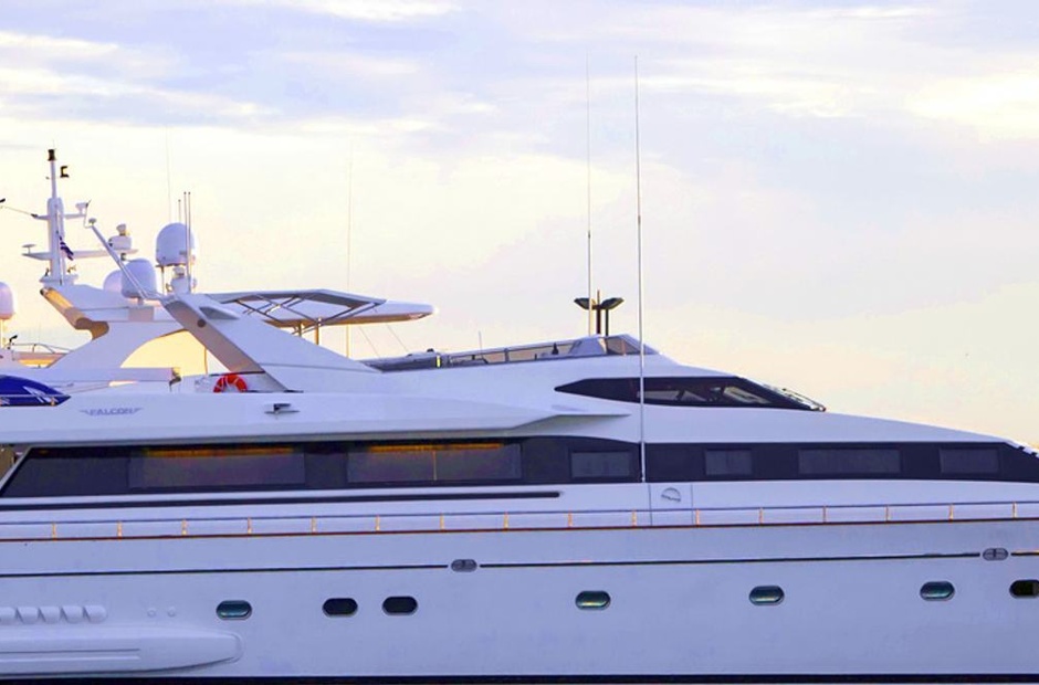 Falcon Venus Vistoria