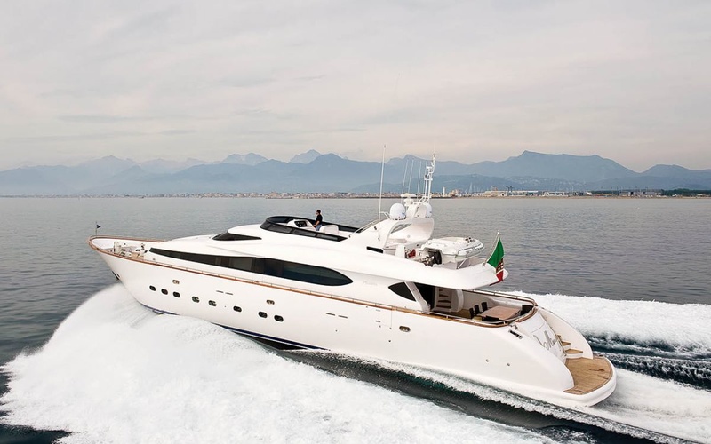 Maiora 31DP