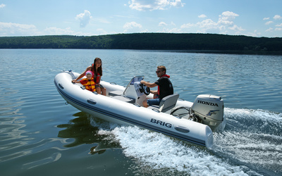 Brig Falcon 480