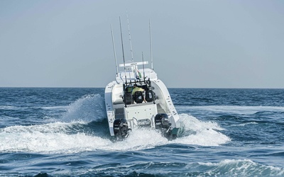 SilverCat 34HT