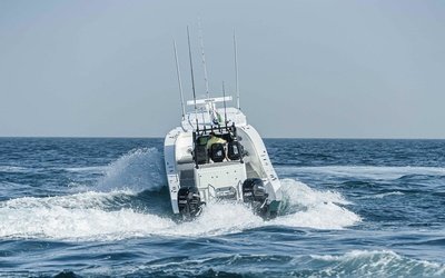 SilverCat 34HT