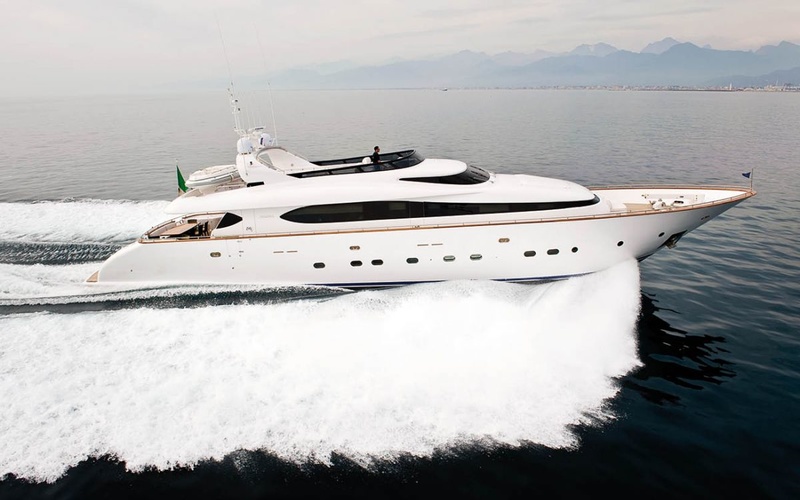 Maiora 31DP