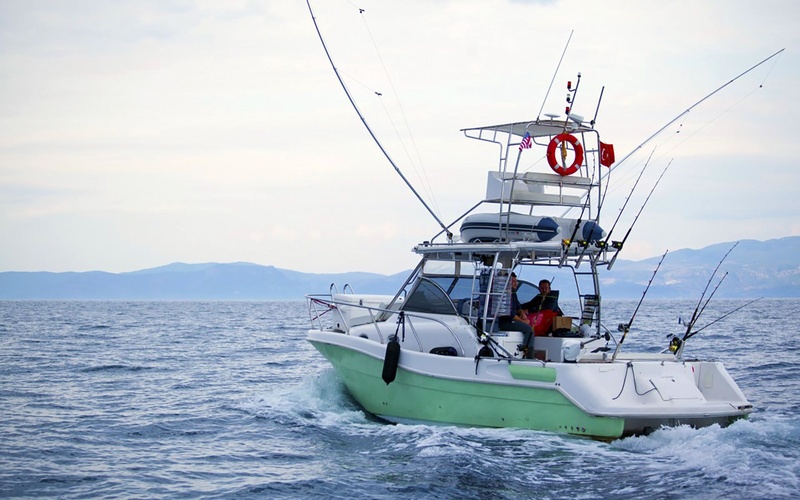 Mercan Bonito 32 IB