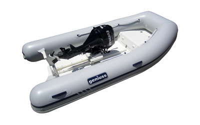Geniuss 290 Open
