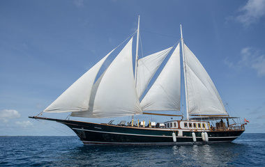 Custom Dream Voyager