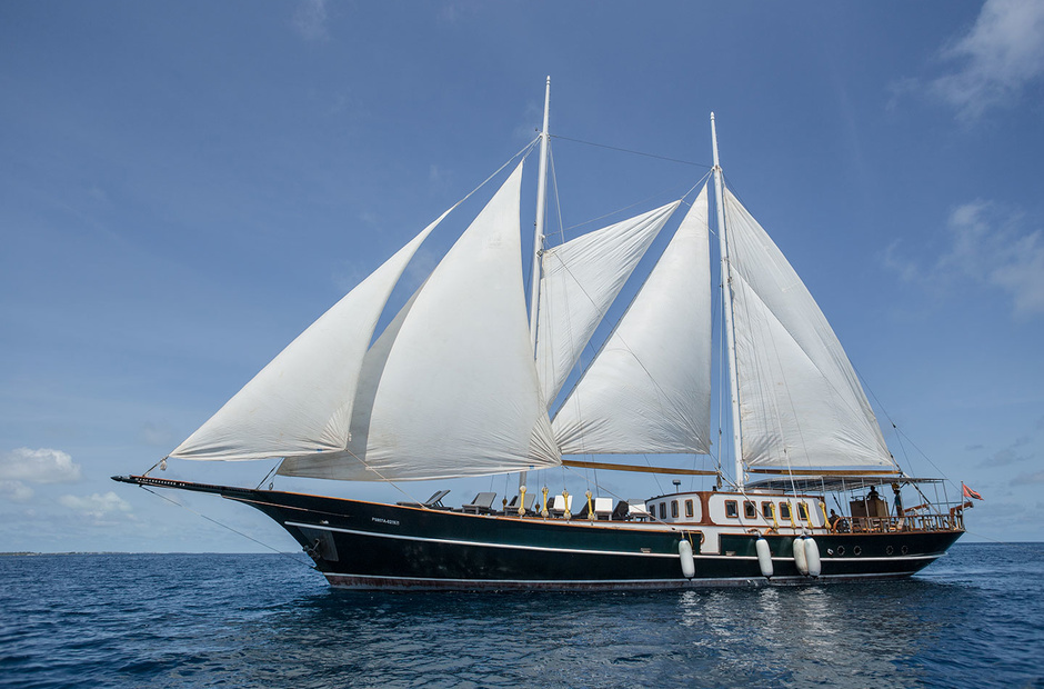 Custom Dream Voyager