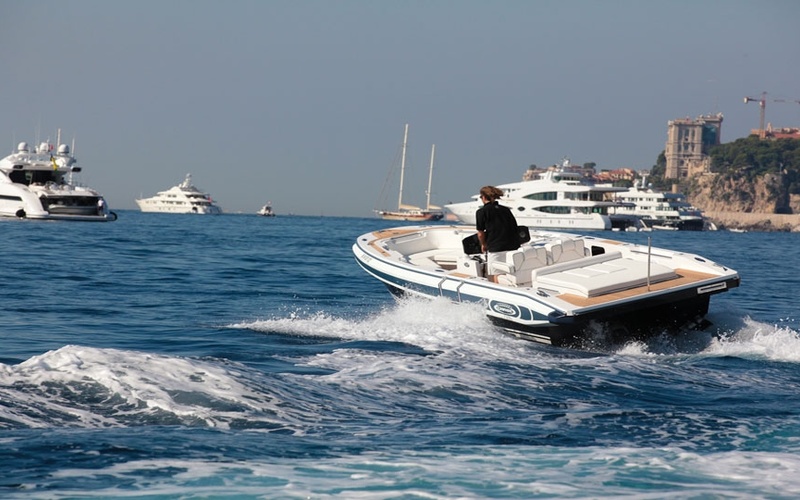 Novurania Chase 23