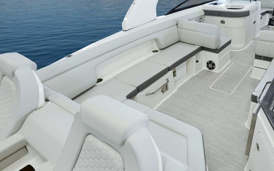 Sea Ray SDX 290