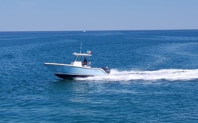 3B Craft 238 CC