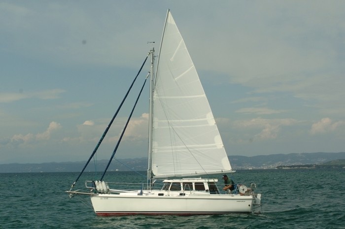 Haber 800 Gaff Cutter