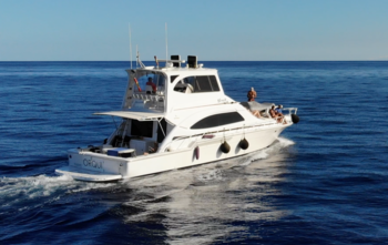 Bertram 510 (2004)