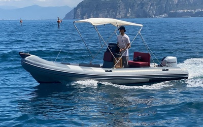 Selva D.540